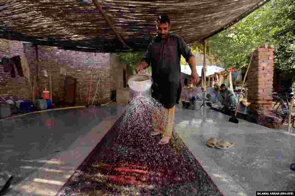 Рабочий моет и готовит новые ковры для продажи в мастерской в Пешаваре, Пакистан
