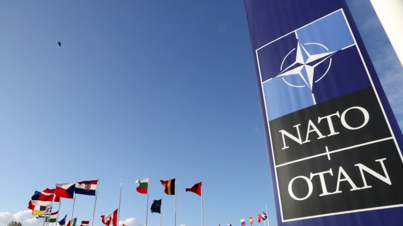 Парламентарии Украины и Грузии призвали НАТО усилить присутствие в Черном море