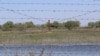 Тікенек сымның ар жағында тұрған Ресей федерациясының шекара бағаны. Көптоғай ауылы, Атырау облысы. 4 мамыр 2021 ж.