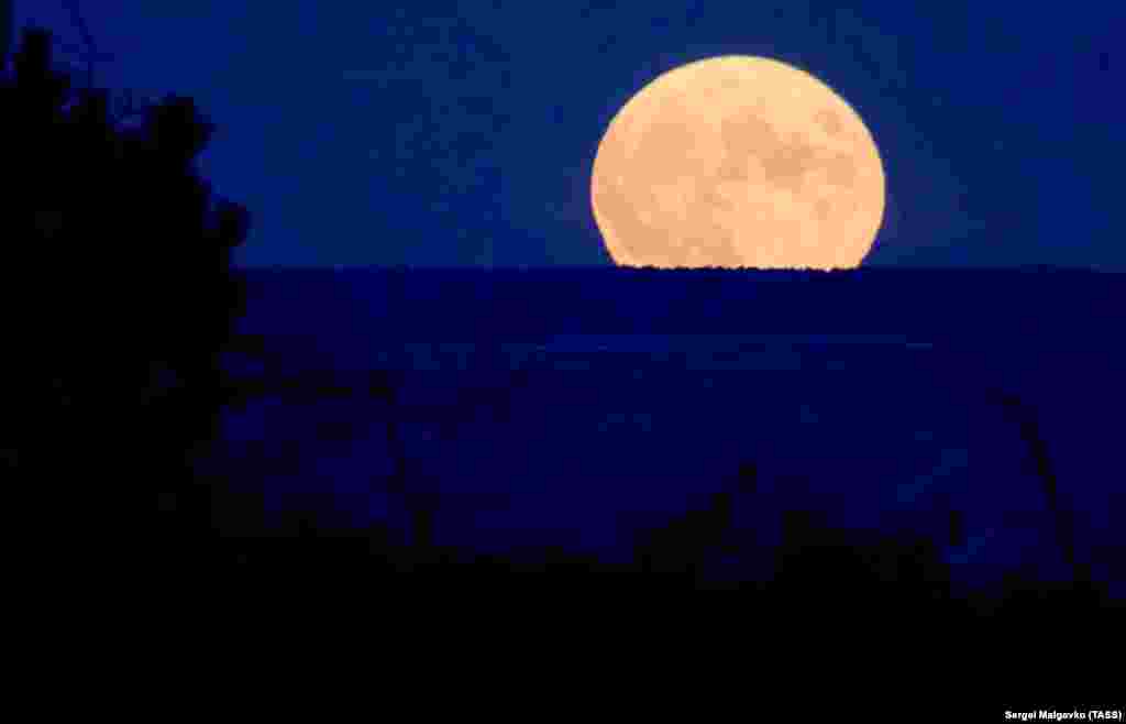 Місячна ніч у передмісті Сімферополя