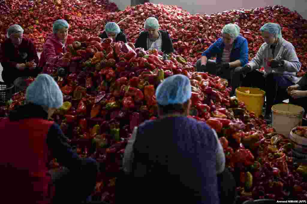Женщины готовят красный перец для приготовления традиционного популярного соуса айвар в сельскохозяйственном кооперативе в косовской деревне Круша-э-Мадхе. Традиционно айвар готовят осенью, когда перца больше всего, его хранят в стеклянных банках и употребляют в течение года