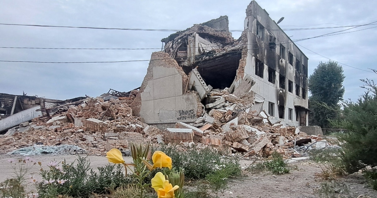 Внаслідок російських атак постраждали четверо жителів Синельниківського району