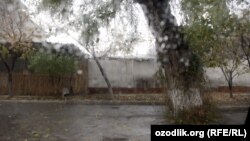 Иллюстративное фото