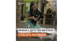 В котокафе Красноярска животных можно забрать себе домой