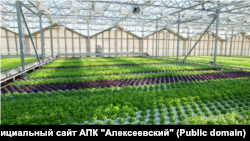 АПК "Алексеевский"