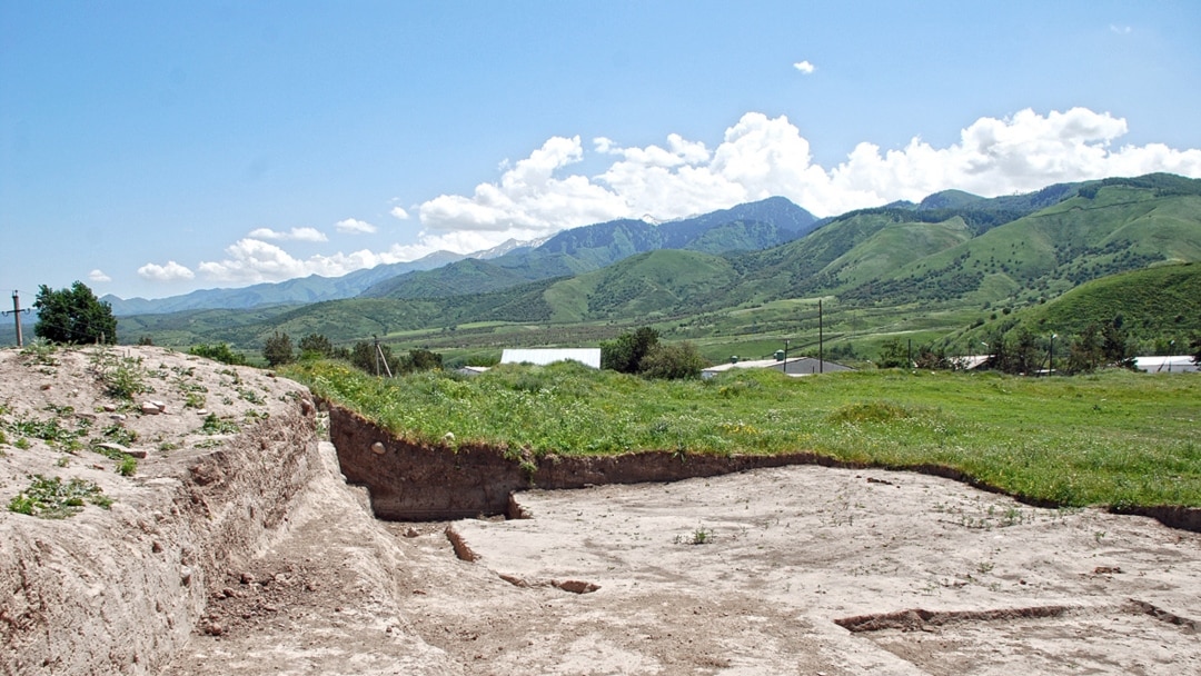 Белово жезөкшелерінің інжу-маржаны Жануарлармен жыныстық қатынас