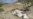 Scores Of Afghans Buried In Landslide