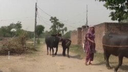 د پاکستان او هند پولې ته نېږدې استوګن وايي ژوند يې له خطره ډک دی 