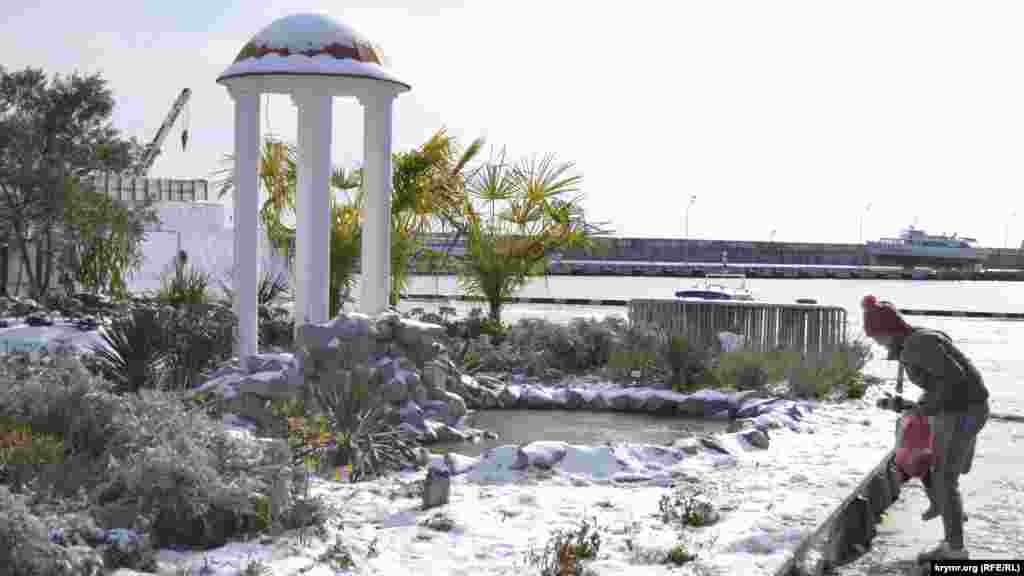 Клумбу с экзотическими растениями из Никитского ботанического сада на набережной Ялты также засыпало снегом. Но цветы и кусты там подобраны специалистами, поэтому снег им не вредит