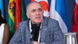 Гаррі Каспаров, тринадцятий чемпіон світу з шахів, один із найвідоміших опозиційних до політики Путіна лідерів російської політичної еміграції