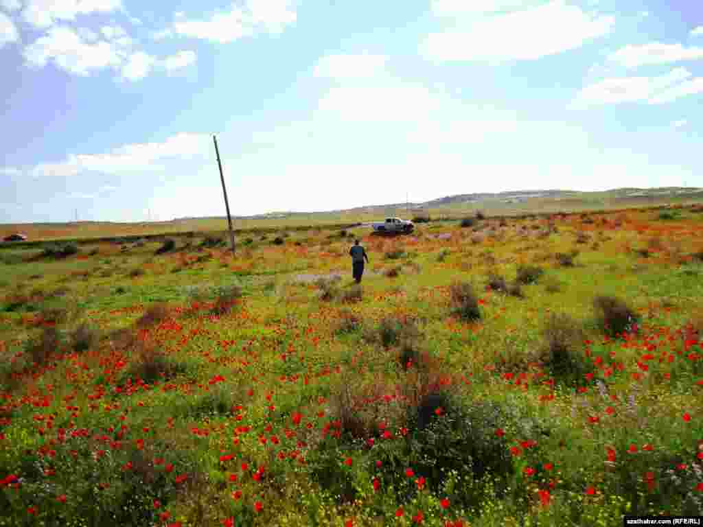 T&uuml;rkmen s&auml;hrasy