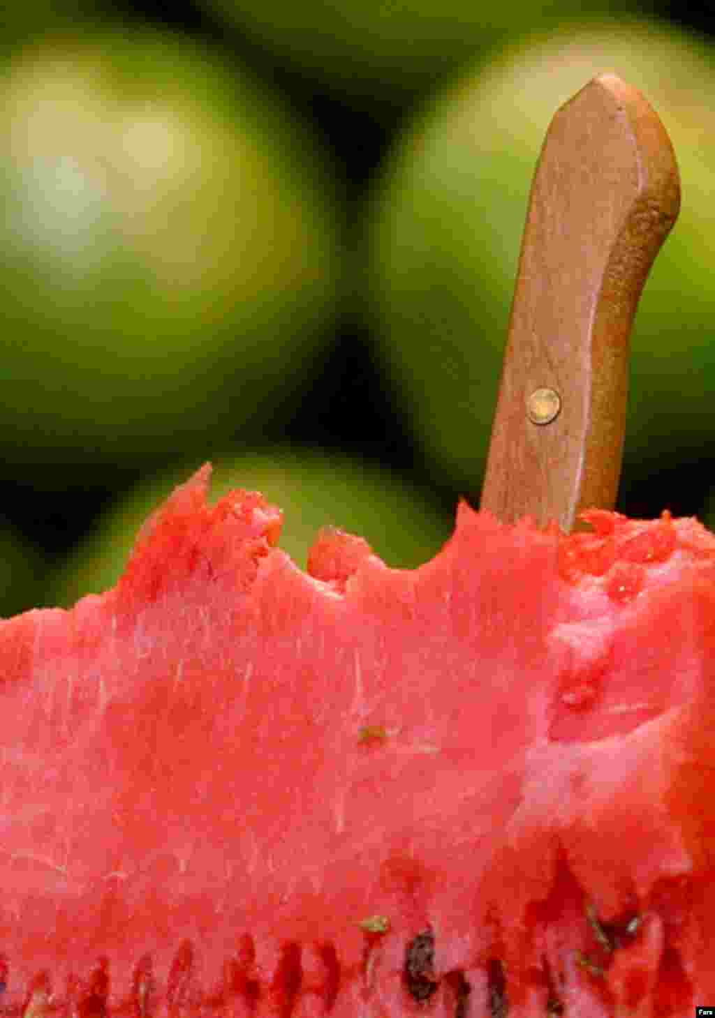 چاقو در هندوانه یا هندوانه به شرط چاقو؛ اثر میوه فروش سر کوچه !