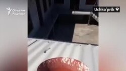 Ислом Каримовдан мерос бўлиб қолган "Президент Кўрсин" анъанаси қачонгача давом этади?