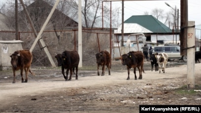 Пинкамина Диана Пие порно