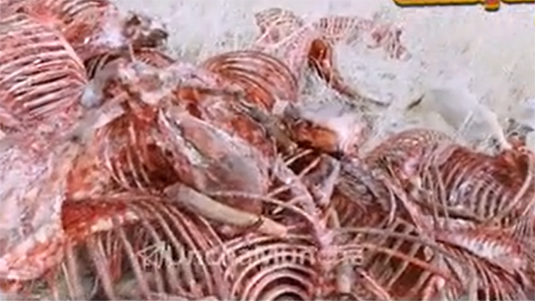 HD porno eng chiroyli blondalar Seks rus qoshnisi sikish uchun qoshniga keldi