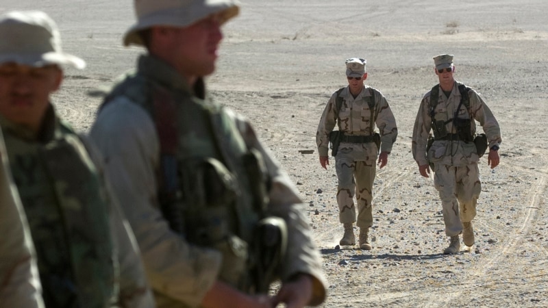  په افغانستان کې د امریکا پر رول، دپاکستاني سیاستوالو انتقادونه 