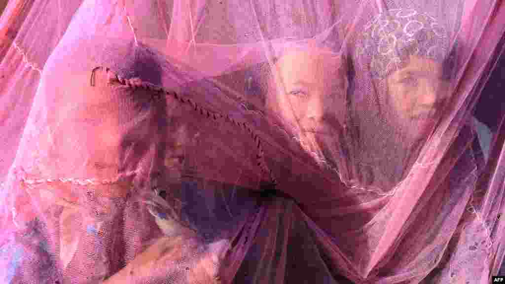 Children wrap themselves with pink netting while playing at a refugee camp in the district of Faizabad in northern Afghanistan on October 1. Some 100 families mostly from Turkmen ancestry have settled in this refugee camp for returnees from Pakistan. (AFP/Qais Usyan)