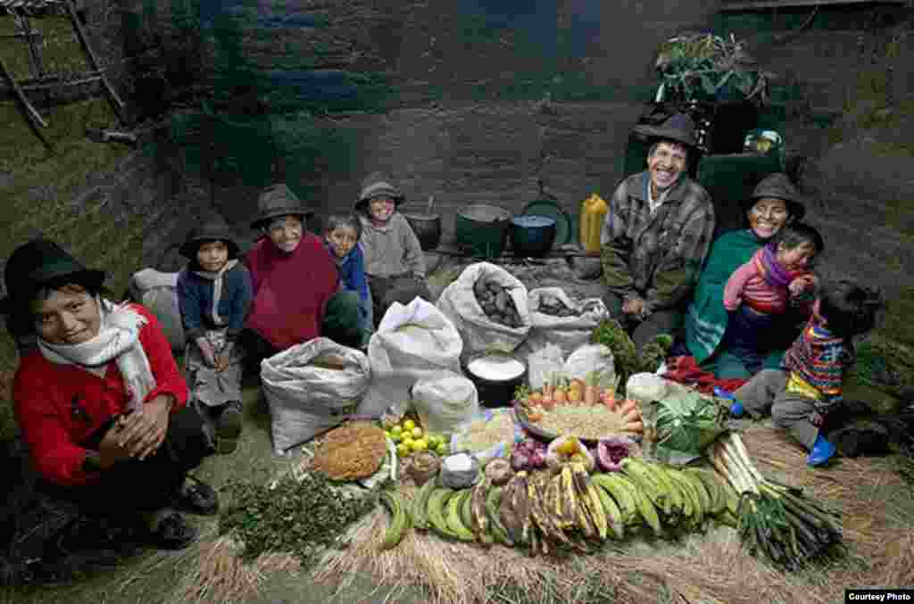 Эквадор: Эмелар гаиләсе, Тинго - Бер атналык азык-төлек чыгымы - $ 31,55 (американ доллары)