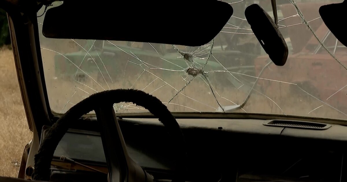 На Херсонщині загинув аграрій Олександр Гордієнко внаслідок удару РФ