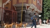 SOMALIA-ANIMALS/CARER