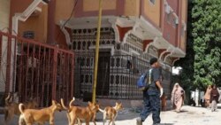 Somalijac prkosi tabuima i brine se za napuštene pse i mačke 