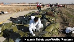 The bodies of dead passengers at the site where the Ukraine International Airlines plane crashed after being hit by two Iranian missiles on January 8