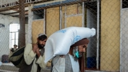 برنامه جهانی غذا (WFP) برای جلوگیری از قحطی در افغانستان کمک می‌خواهد
