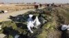 The bodies of dead passengers at the site where the Ukraine International Airlines plane crashed after being hit by two Iranian missiles on January 8