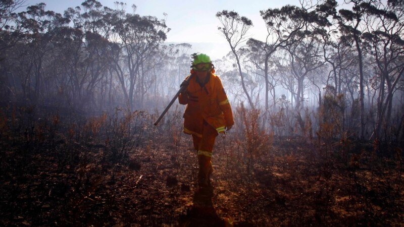 Пожари во Австралија - Загинати, исчезнати, повредени