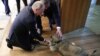 Vladimir Putin mîngîind un cîine ciobănesc ce i-a fost oferit de omologul său sîrb la Belgrad, 17 ianuarie 2019