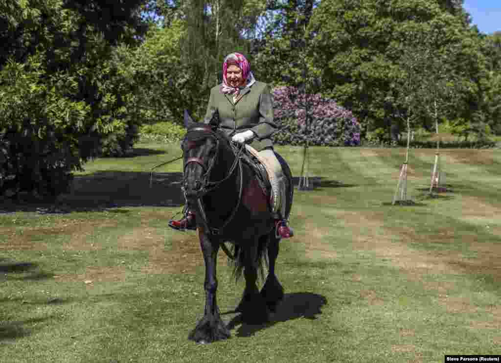 Unul din hobby-urile Reginei Elisabeta a II-a a Marii Britanii era călăritul. În imagine călărește un ponei Fell în vârstă de 14 ani, în Windsor Home Park.&nbsp;