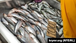 Керченская селедка на рыбном рынке в Керчи, апрель 2021 года