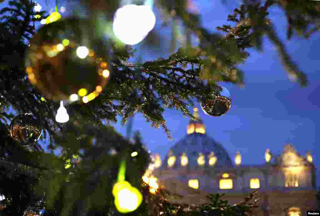 Pomul de Crăciun de la Vatican&nbsp; (Reuters/Max Rossi)