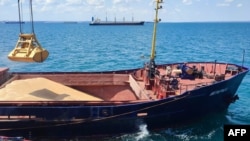 One-third of global wheat exports sail from Russian and Ukrainian ports in the Black Sea and the adjacent Sea of Azov. (file photo)