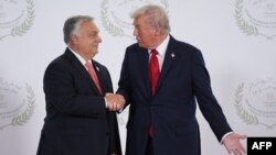 Donald Tramp Misirin Şarm əl-Şeyx şəhərində keçirilən Qəzza sammiti zamanı Viktor Orbanı salamlayır.