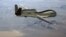 Potrivit Moscovei, o aeronavă de supraveghere fără pilot RQ-4 Global Hawk a forțelor SUA se afla în zona centrală a Mării Negre în momentul producerii incidentului. (Imagine generică)