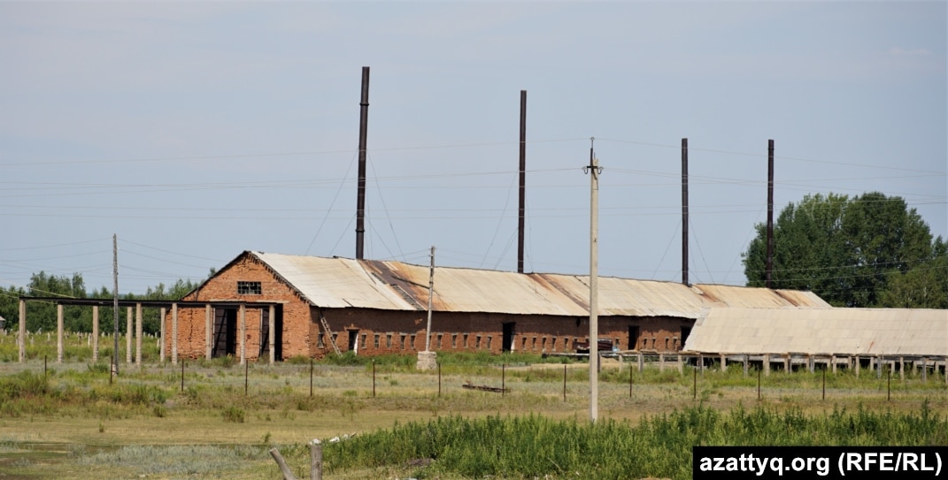 Емізік шұлықтарының фотосы