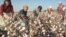 Cotton pickers in Uzbekistan (file photo)