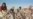 Uzbek Cotton Industry Sows Seeds Of Trouble
