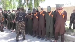 د پاکستاني اتباعو په شمول د لسګونه وسله‌والو نیول