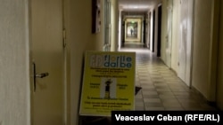 Redacția revistei „Florile Dalbe” se află la etajul cinci al Casei Presei, unde închiriază spații și alte instituții de presă.