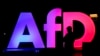 Partidul de extremă dreapta AfD, declarat organizație extremistă. Liderii formațiunii: „o lovitură gravă adusă democrației germane”
