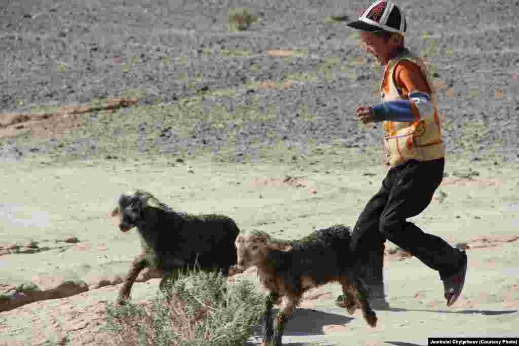 A local boy runs after his goats. The high desert climate makes farming nearly impossible, and locals depend almost entirely on food imports from Osh, Kyrgyzstan. Food staples transported to the remote region cost three to five times more than in Osh.