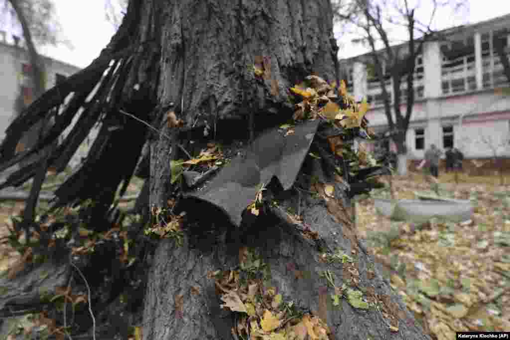 Осколок застряг у дереві біля спортивного центру, пошкодженого російським ударом, Запоріжжя, 11 листопада 2024 року