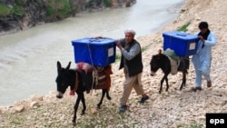 Афганцы везут на ослах избирательные урны и бюллетени для труднодоступных селений. 23 марта 2014 года.