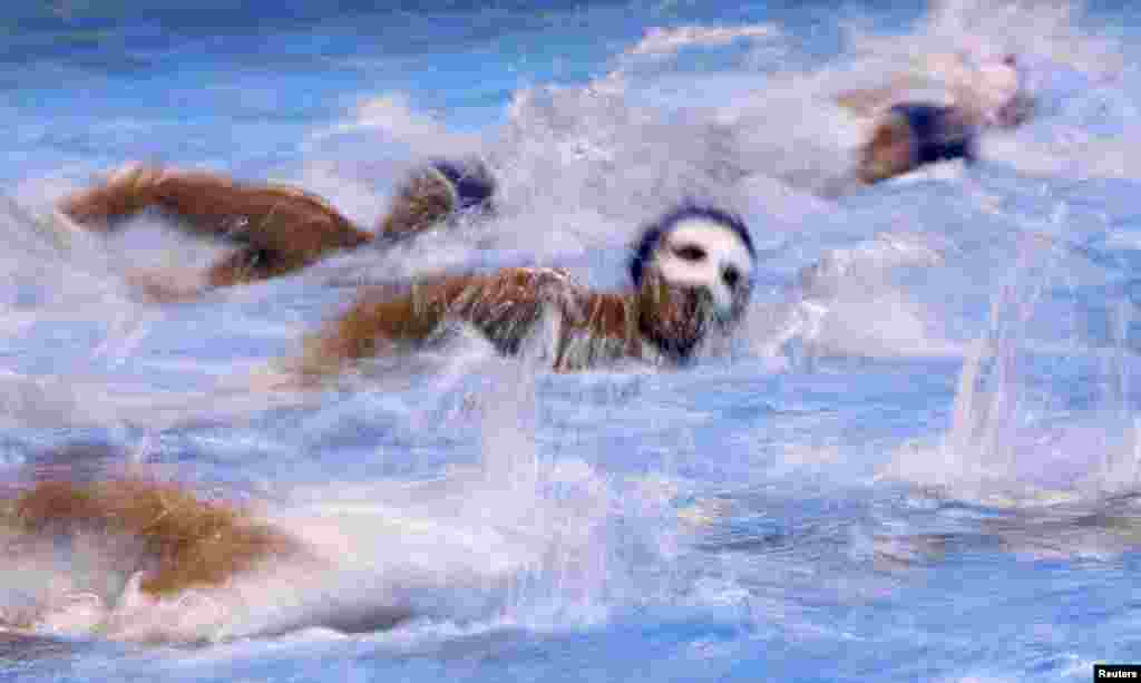 Players from Montenegro and Italy compete in the bronze-medal match in water polo. Italy won the bronze. Serbia took the gold, defeating Croatia.