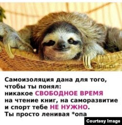 Картинка из соцсетей