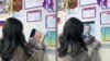 Школярі замінюють портрет Володимира Путіна фотографією Володимира Навального і завантажують відео в мережу TikTok