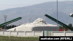 Child Labor In Turkmenistan's Cotton Fields
