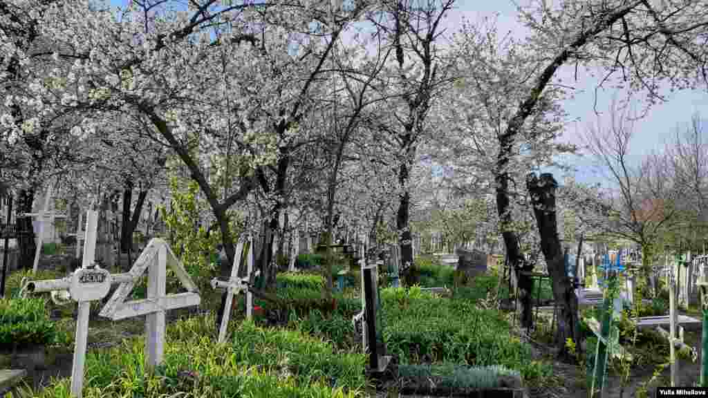 Cimitirul din satul Dănceni, raionul Ialoveni